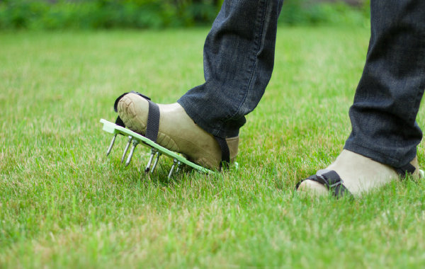 Lawn Aeration 