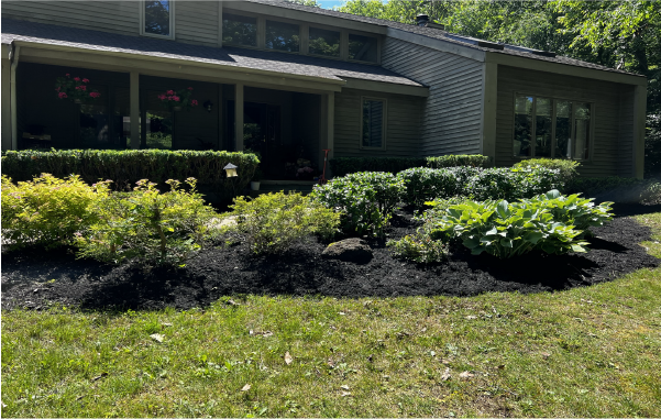 Bed Maintenance Services