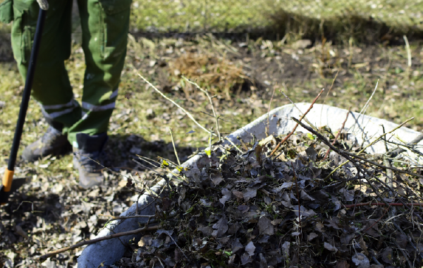 Ground Work Services