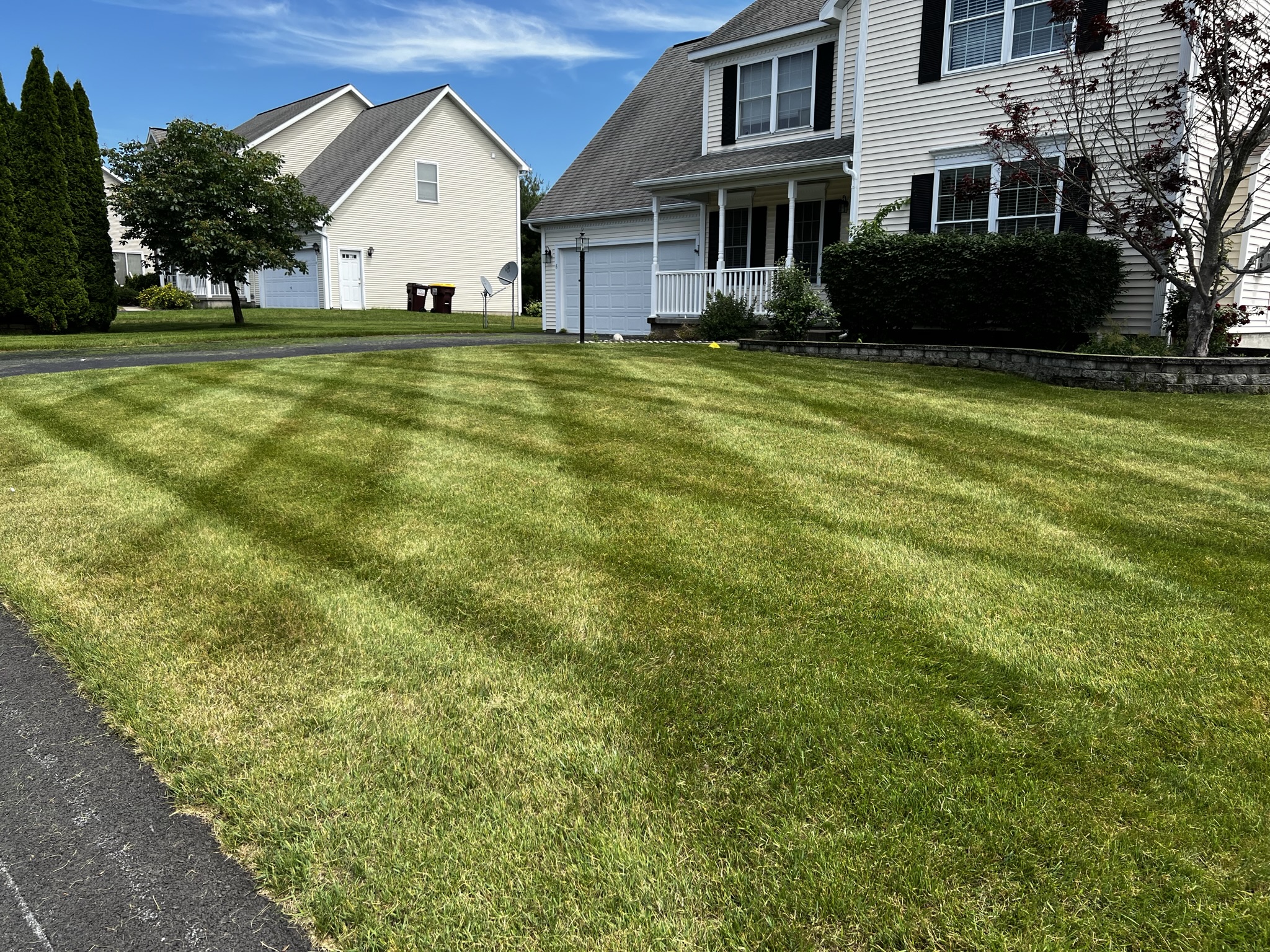 Weekly Lawn Care