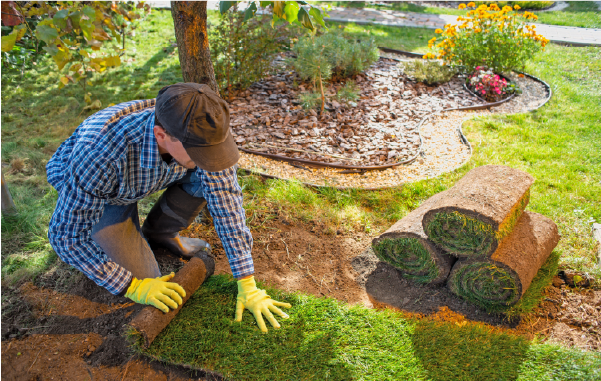 Sod Installation Services 